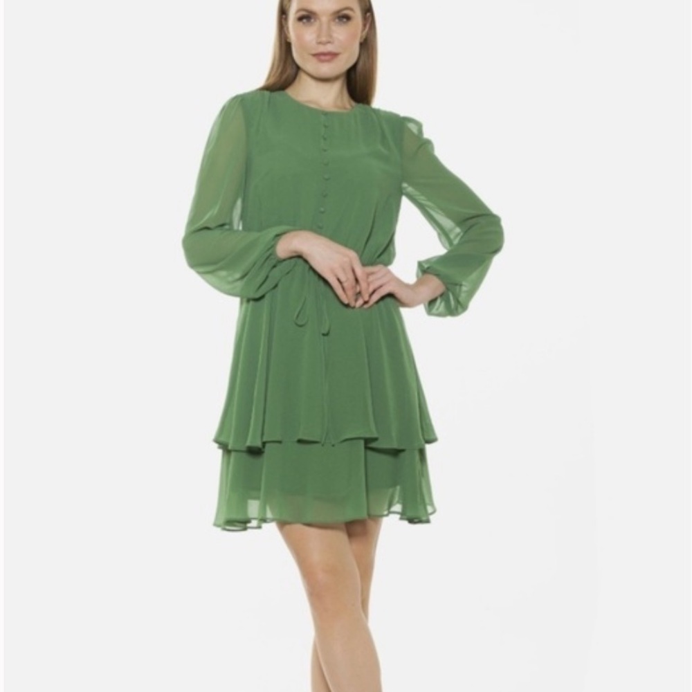 Alexia Admor | Women’s Green Long Sleeve Crewneck Chiffon Balia Mini Dress Sz 2